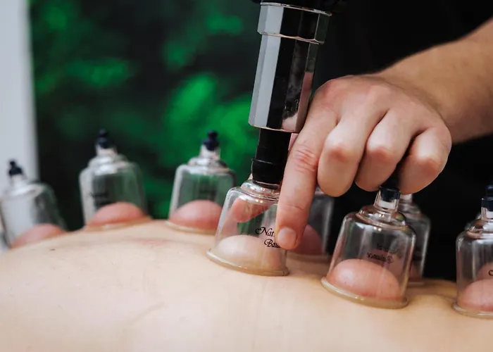 Leonid Apartment Podčetrtek